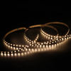 CCT 192leds/m 12/24v LED Strip Light 