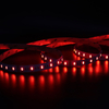 SMD5050 RGBWW 60leds/m 12V/24V LED Strip