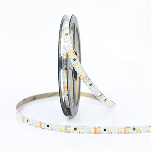 CCT 192leds/m 12/24v LED Strip Light 