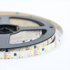 CCT 192leds/m 12/24v LED Strip Light 