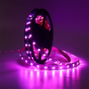 60leds/m SMD5050 RGBW LED Strip