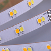 CCT 120LEDS/M LED Strip