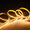 120leds/m Led Strip 5mm