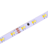 CCT 120LEDS/M LED Strip