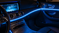 Automotive Lighting Sector