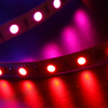 SMD5050 RGB Digital LED Strip Light Pixel 60LEDs/M Color Changing