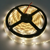 60leds/m SMD5050 LED Strips