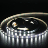 CCT 120LEDS/M LED Strip