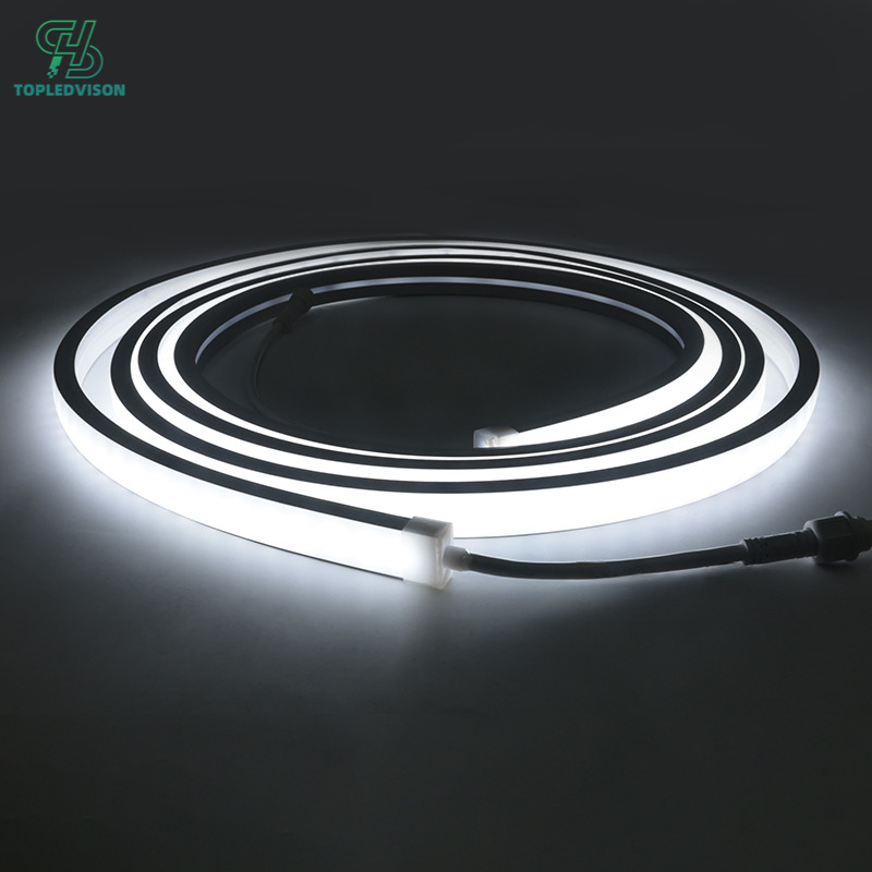 2010 mm High-Voltage Neon Strip 20x10mm-5m( NEON STRIP SERIES)