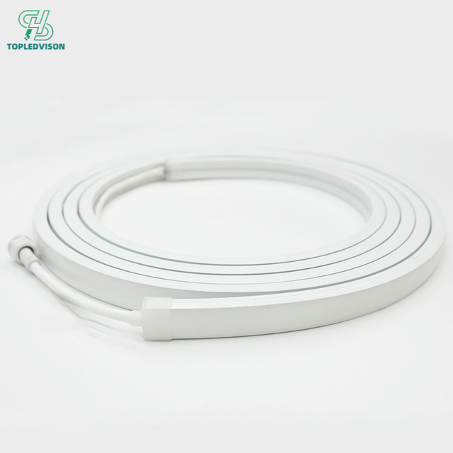20×10 mm High-Voltage Neon Strip