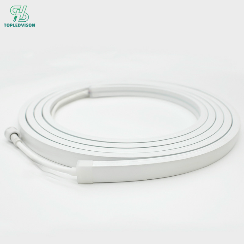 2010 mm High-Voltage Neon Strip 20x10mm-5m( NEON STRIP SERIES)