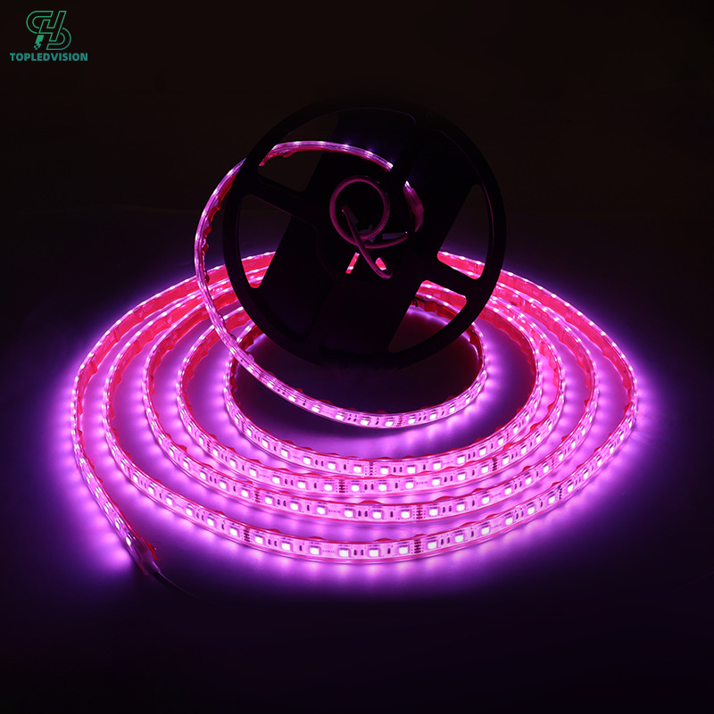 IP67 Waterproof 5050 RGB 60 LED Strip Light for Outdoor & Architectural Lighting