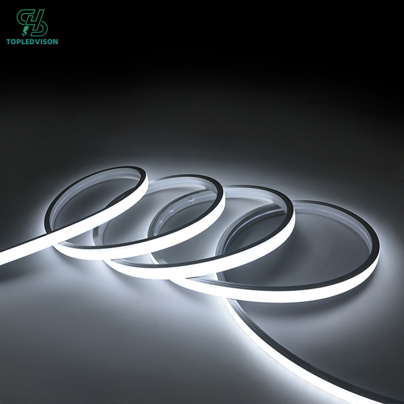 2010 mm High-Voltage Neon Strip 20x10mm-5m( NEON STRIP SERIES)