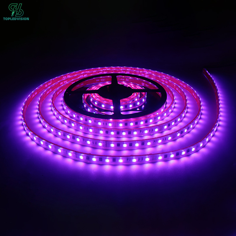High Voltage 5050 RGB 60 LED Strip Light 110V 220V 10mm-5m (AC110/220 STRIP SERIES)